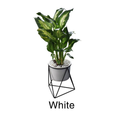 Stylish Iron Shelf Plant Pots Holders
