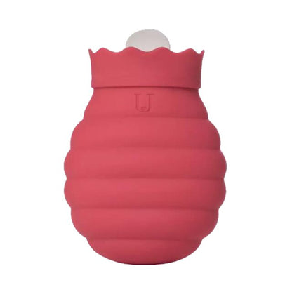 Leakproof Collapsible BPA Free Water Bottle Pouch