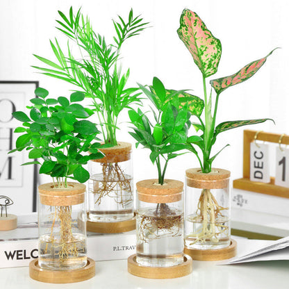 Elegant Wood and Glass Flower Vase - Luxicro