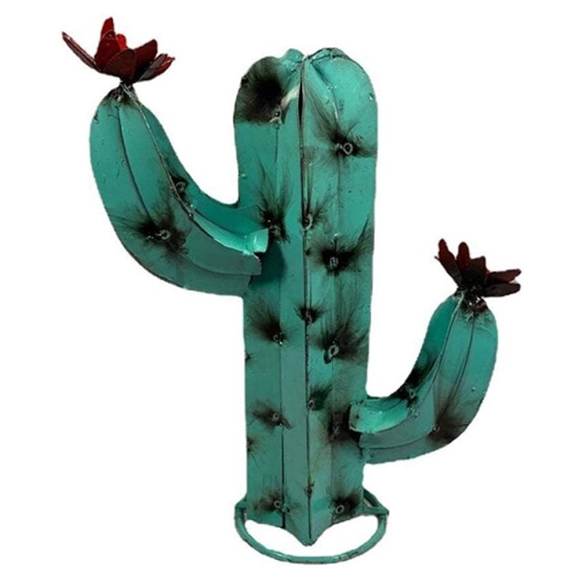 Rural Desert Cactus Garden Decor