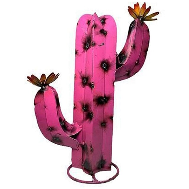 Rural Desert Cactus Garden Decor