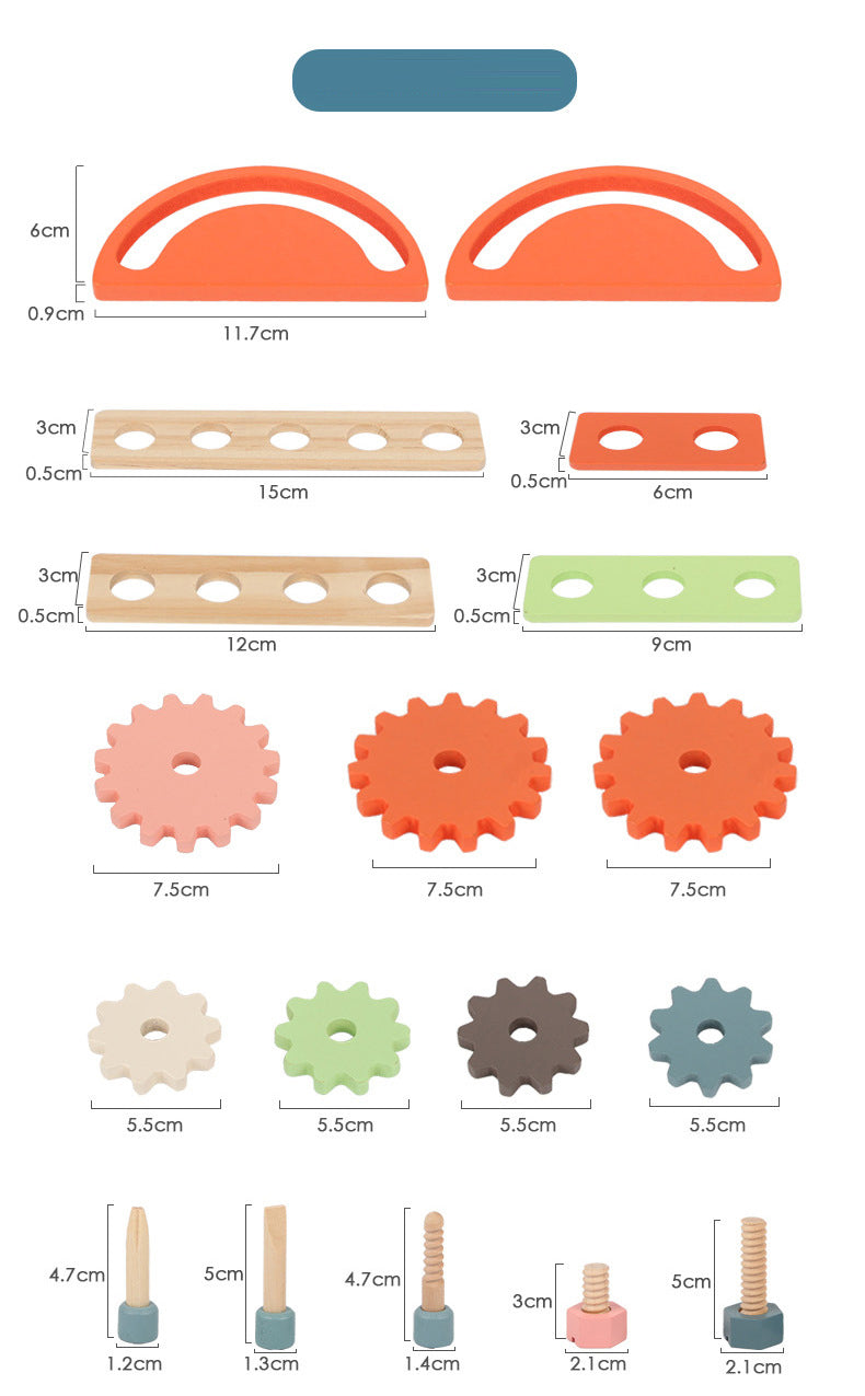 Beginner Woodworking Tool Box Set
