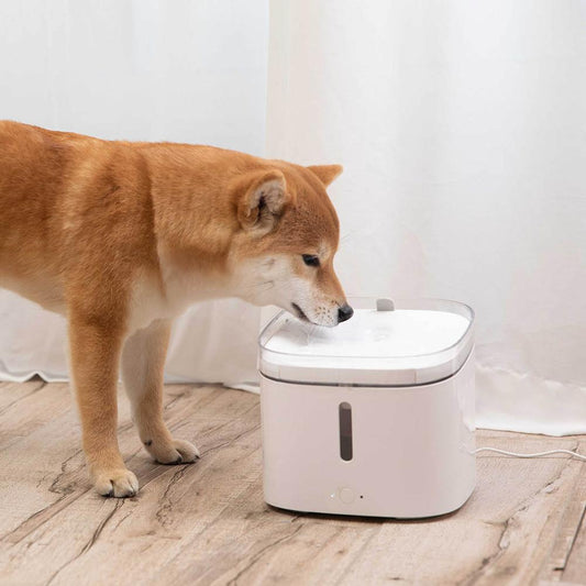 Automatic Refill Pet Water Dispenser Bowl - Luxicro