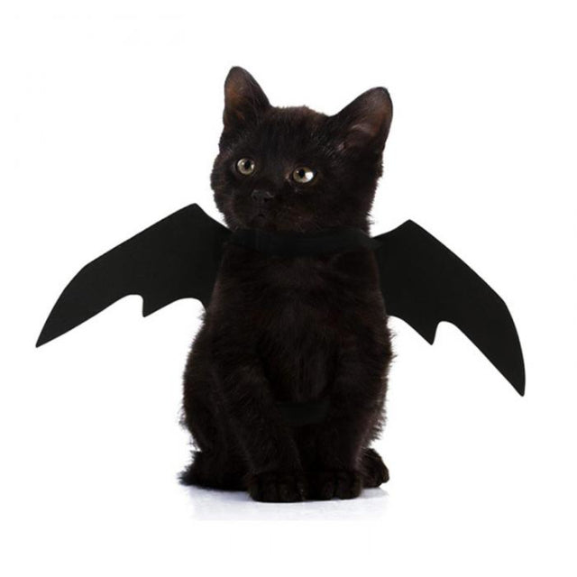 Fun Pet Bat Wing Costume - Luxicro