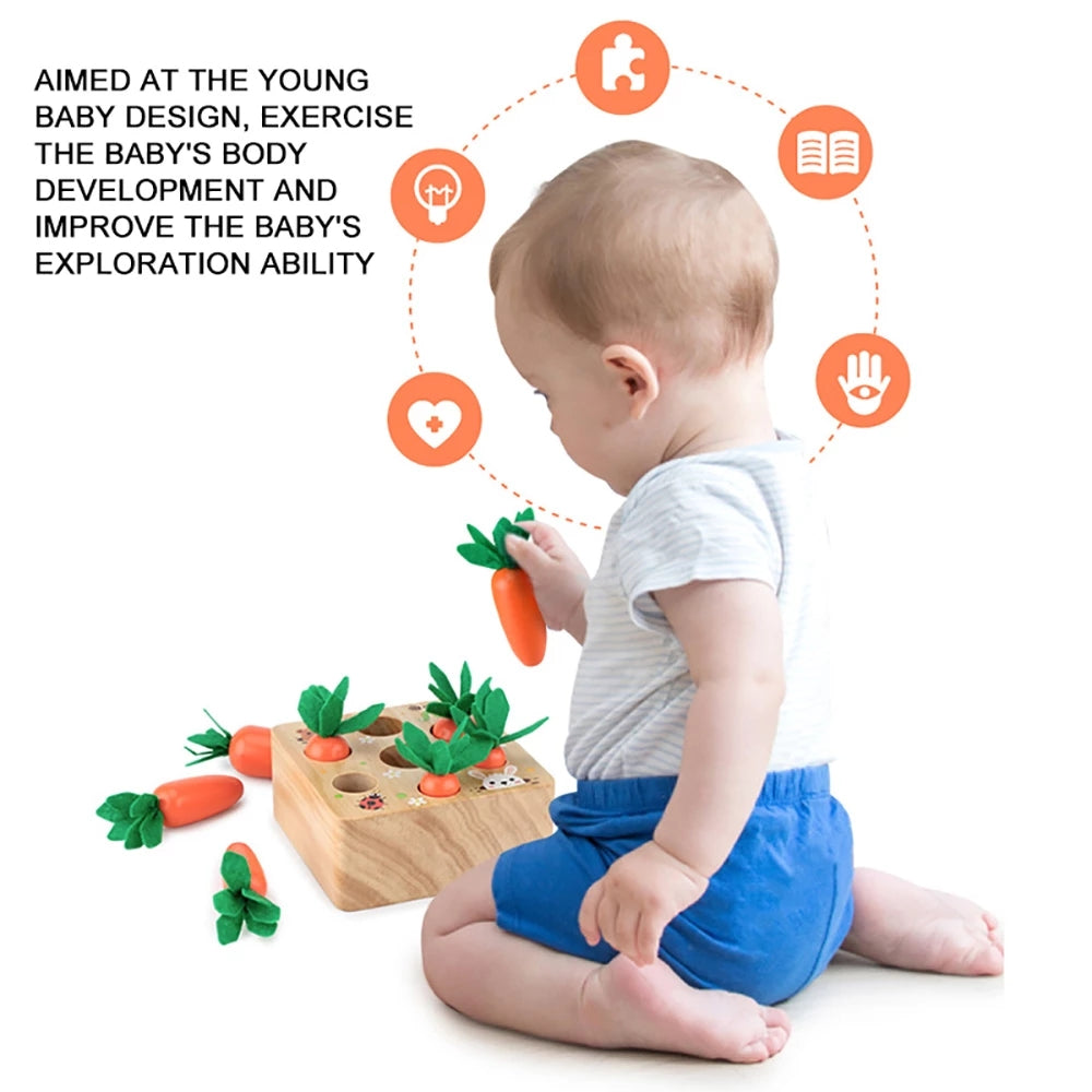 Educational Farm Playset Toy for Children