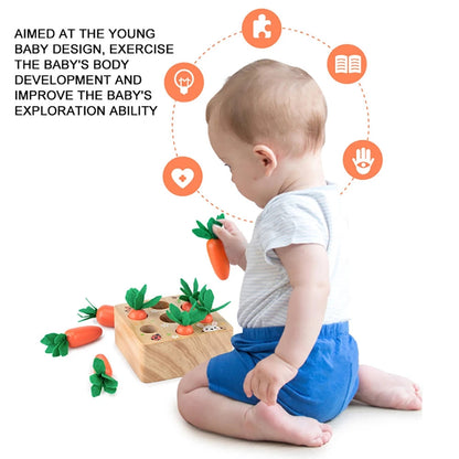 Educational Farm Playset Toy for Children