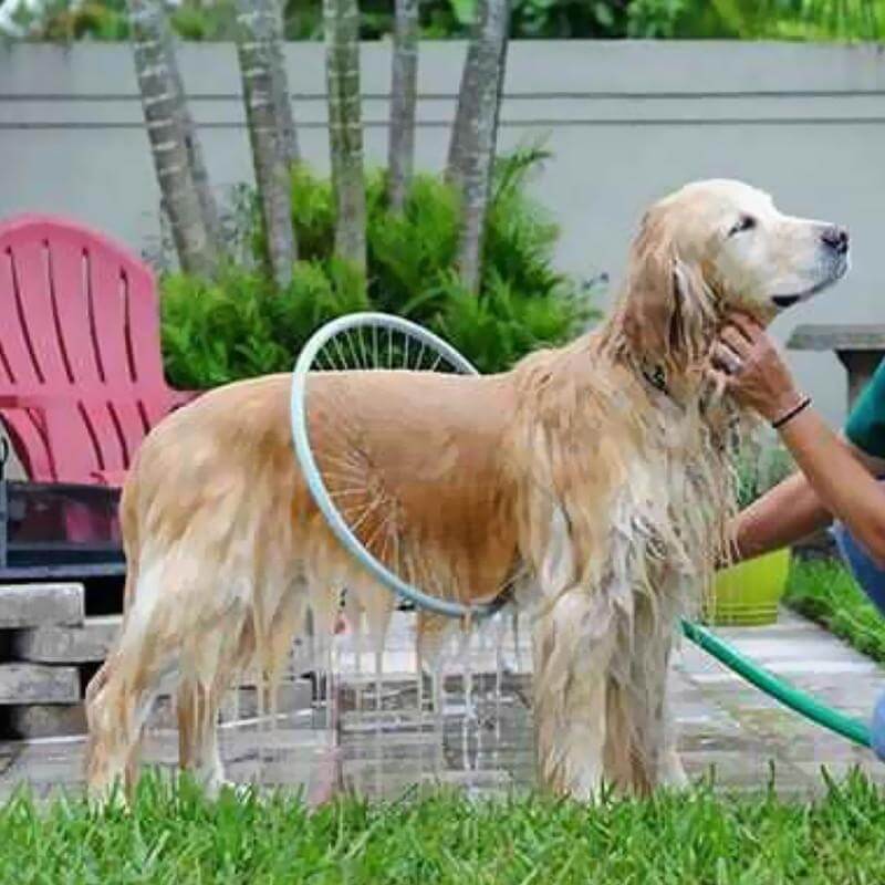 Simple Quick Pet Rinse Spray - Luxicro