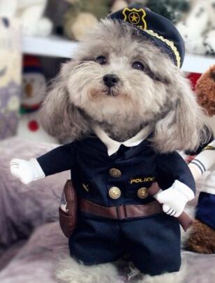 Comical Cop Dog Dress Up Costume - Luxicro