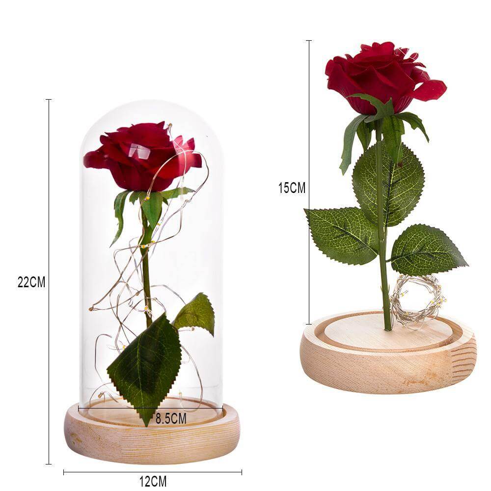 Elegant Long Stem Red Rose Glass Vase - Luxicro
