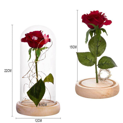 Elegant Long Stem Red Rose Glass Vase - Luxicro