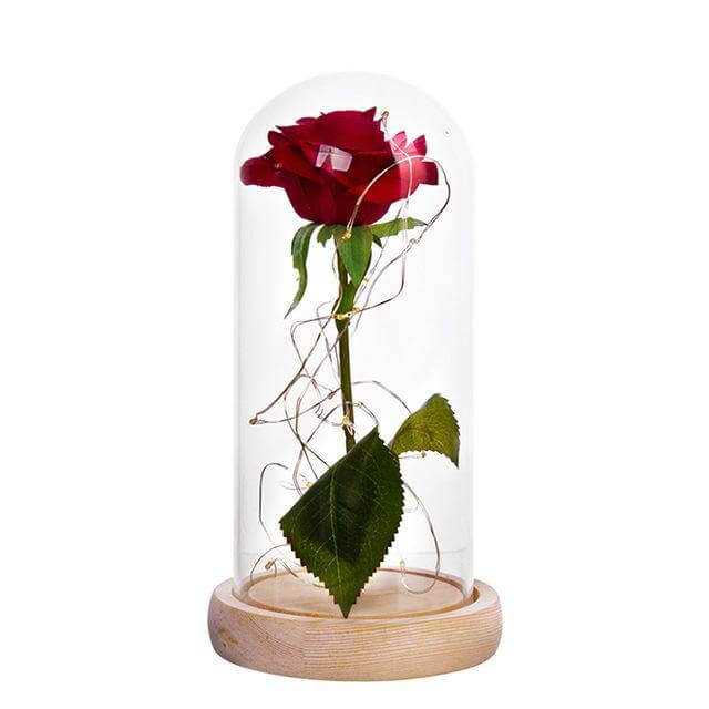 Elegant Long Stem Red Rose Glass Vase