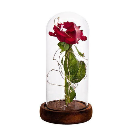 Elegant Long Stem Red Rose Glass Vase