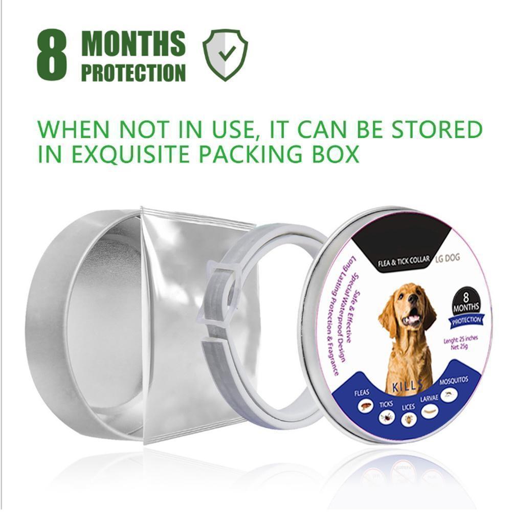 Effective Pest Control Dog Collar