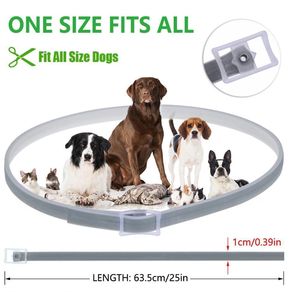 Effective Pest Control Dog Collar