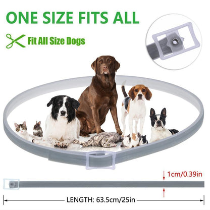 Effective Pest Control Dog Collar