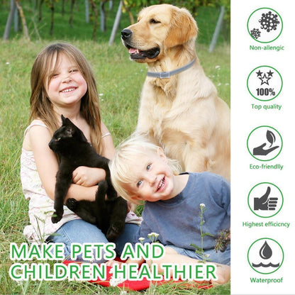 Effective Pest Control Dog Collar