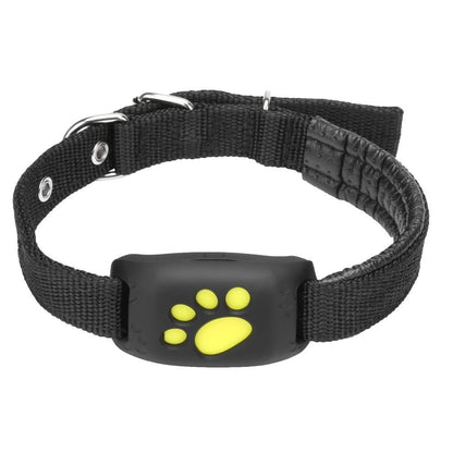 Accurate GPS Location Pet Dog Collar