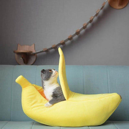 Vibrant Kitty Play Tent - Luxicro
