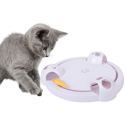 Fun Interactive Cat Toy Spinner - Luxicro