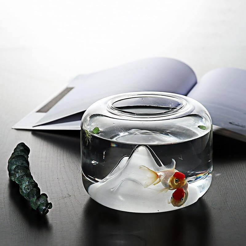 Sparkling Glass Cold Water Fish Tanks - Luxicro
