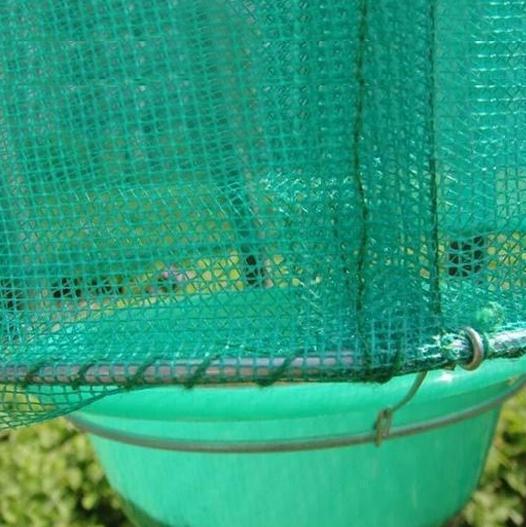 Effective Farm Fly Catcher Trap