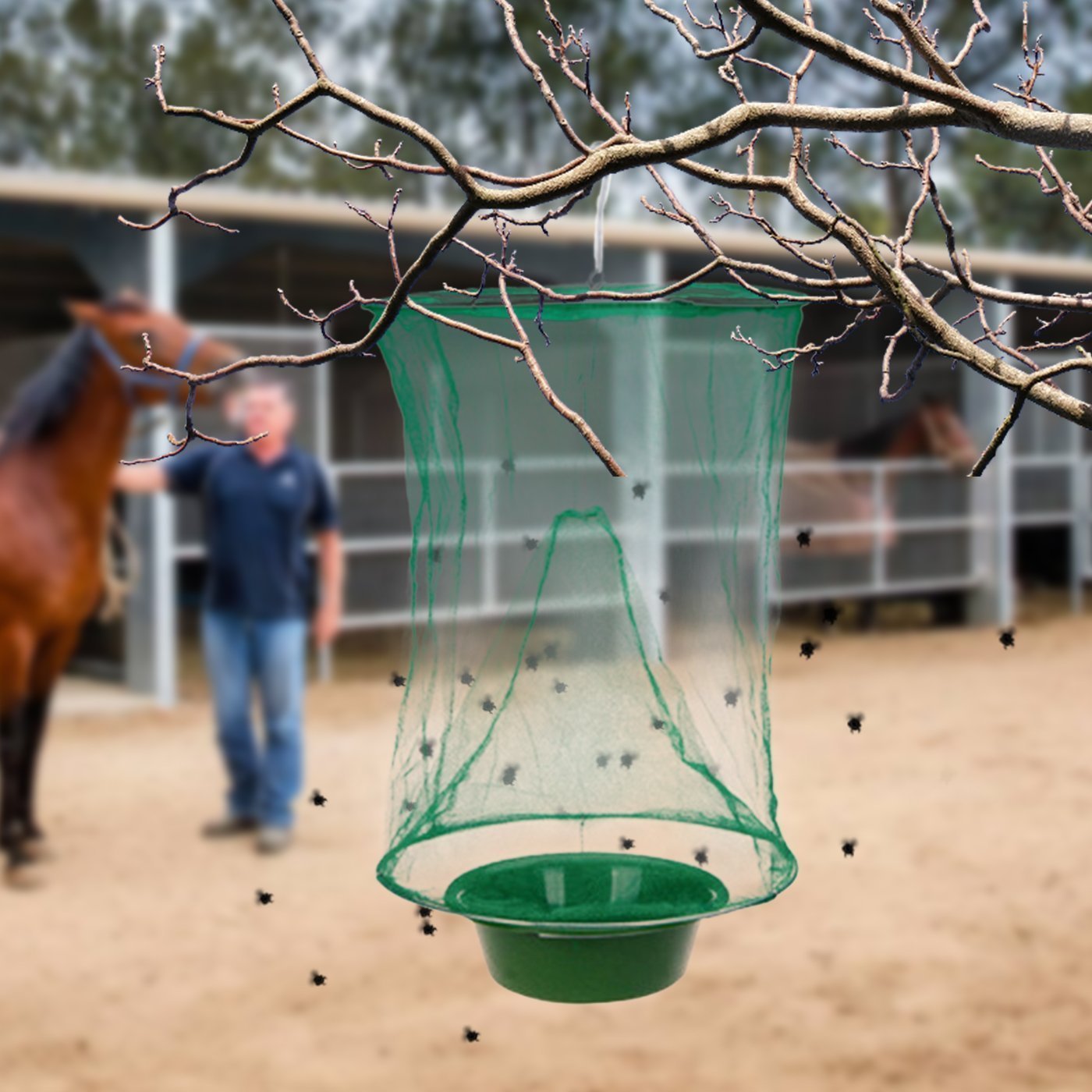 Effective Farm Fly Catcher Trap - Luxicro