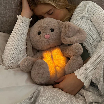 Soft Cuddly Night Light Plush Toy