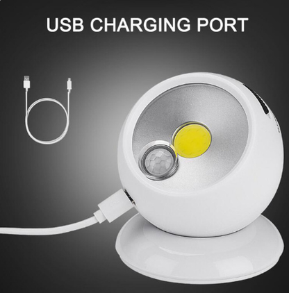 Smart Motion Sensor Outdoor Wall Lamp - Luxicro
