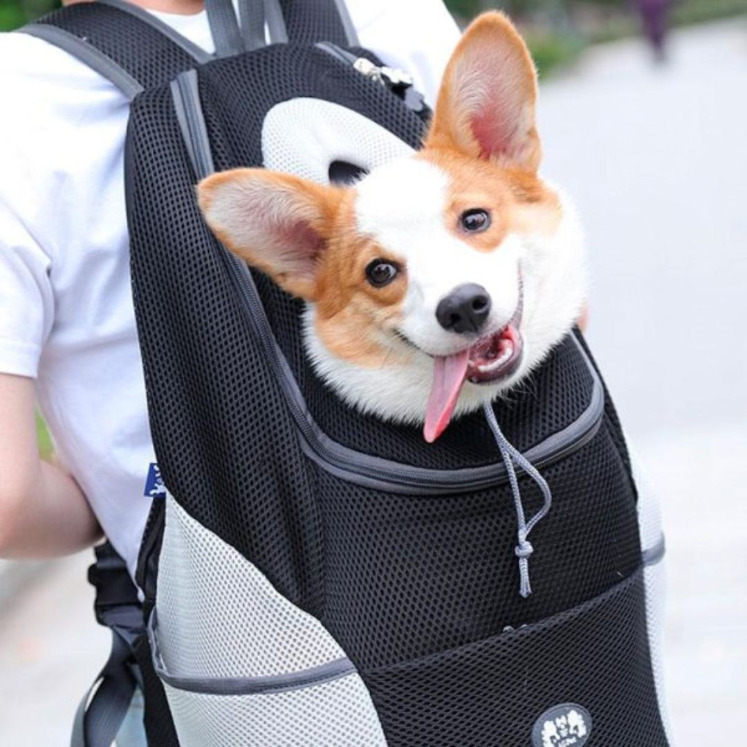 Pet Friendly Portable Dog Carrier