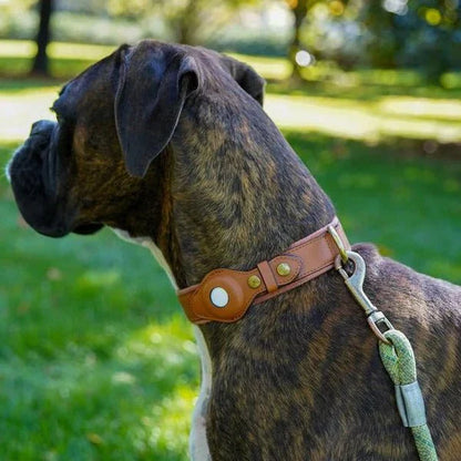 Durable GPS Pet Tracker Collar