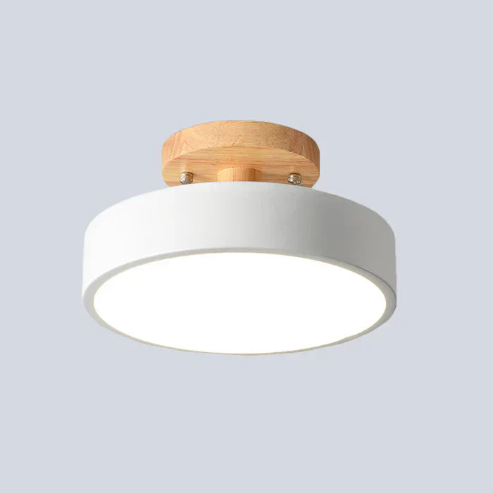 Simple LED Flush Mount Ceiling Light Fixture - Luxicro