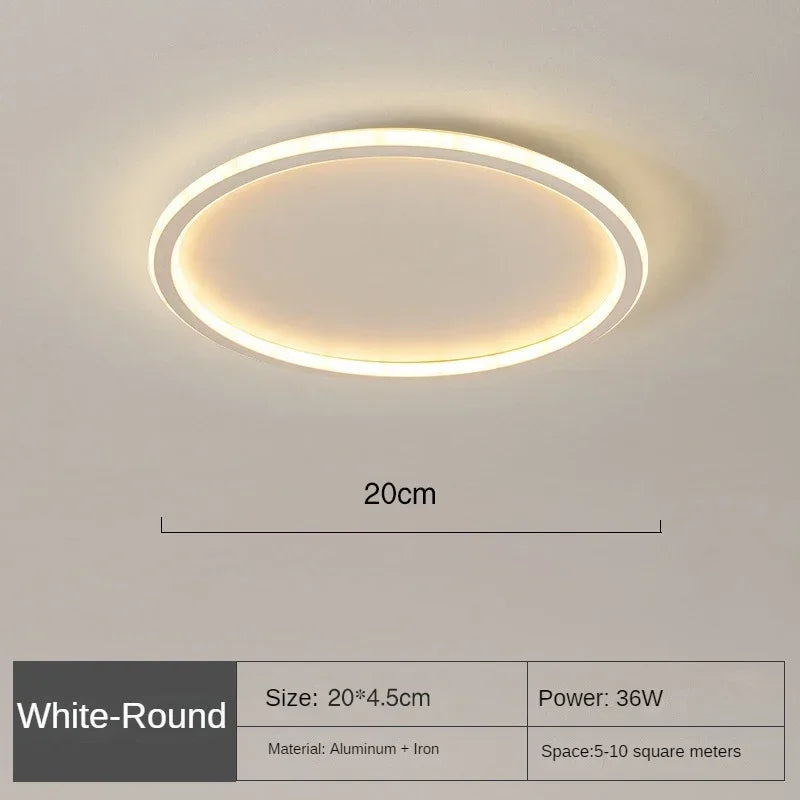 Simple Modern Round Ceiling Light