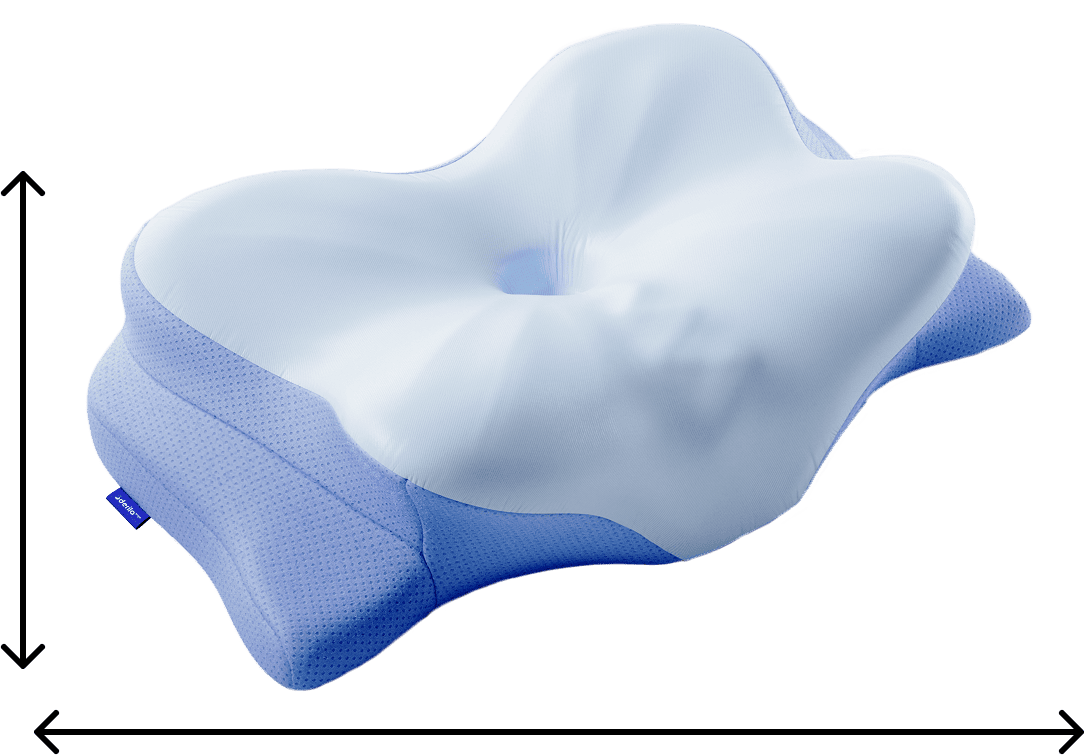 Contour Memory Foam Neck Pillow for Back Sleepers