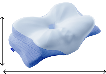 Contour Memory Foam Neck Pillow for Back Sleepers