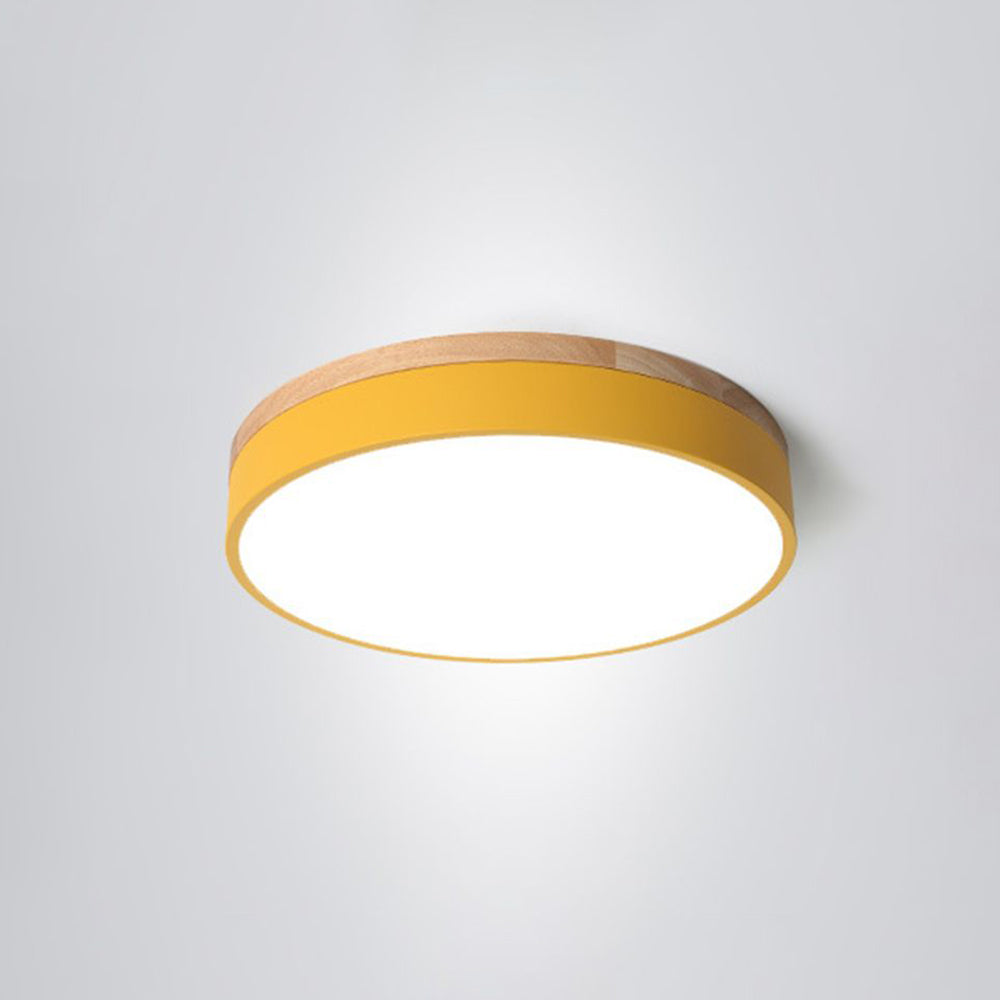 Modern Round LED Ceiling Light Fixture
