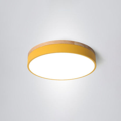 Modern Round LED Ceiling Light Fixture