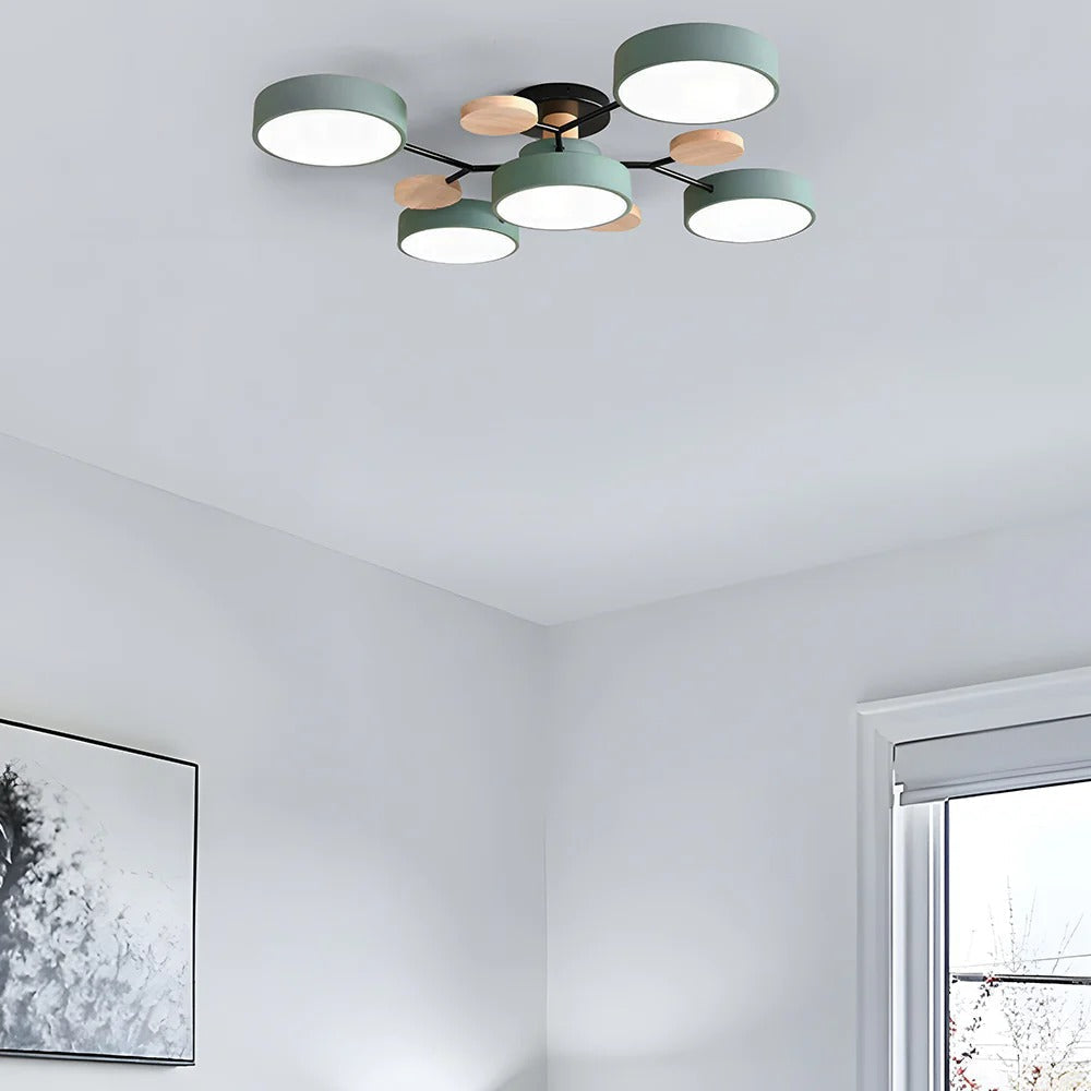 Modern Slim Ceiling Mount LED Light