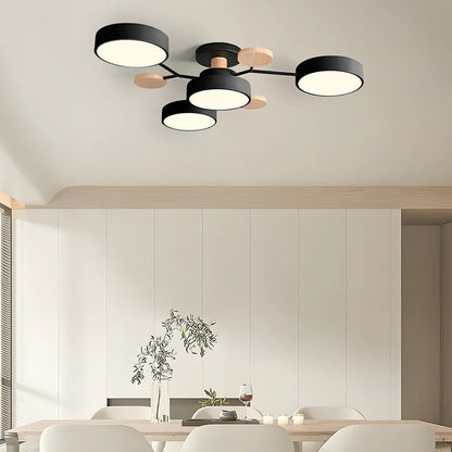 Modern Slim Ceiling Mount LED Light