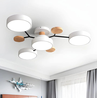 Modern Slim Ceiling Mount LED Light
