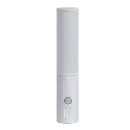 Automatic Motion Sensor LED Nightlight