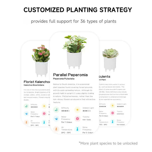 Intelligent Self Watering Planter Pot