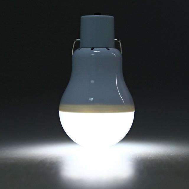 Energy Saving LED Light Bulb for Home and Garden