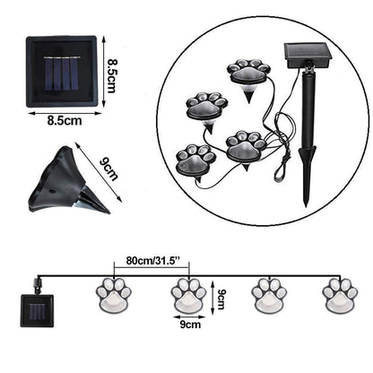Vibrant Outdoor Solar Garden Lights