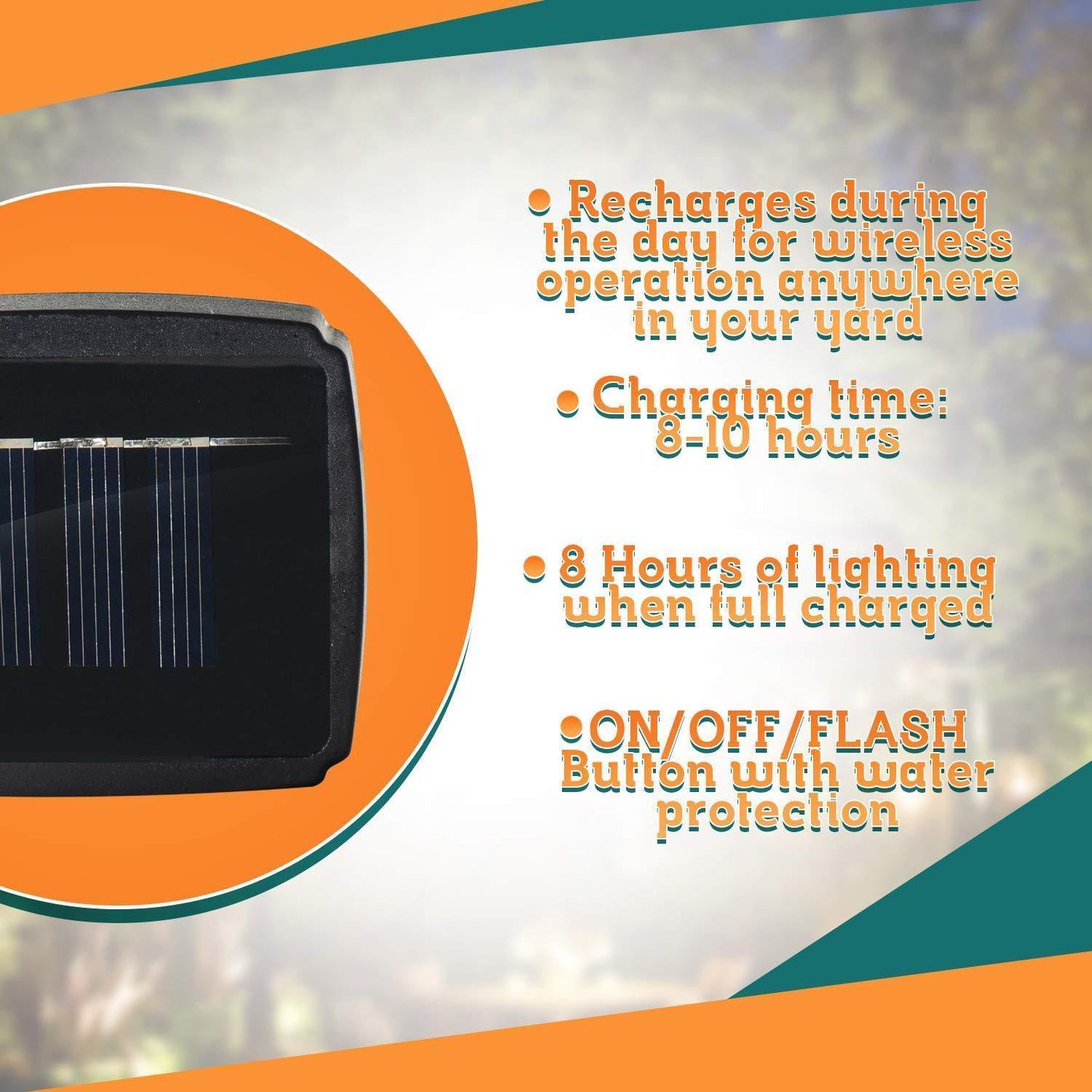 Vibrant Outdoor Solar Garden Lights