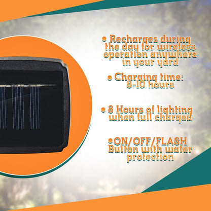Vibrant Outdoor Solar Garden Lights