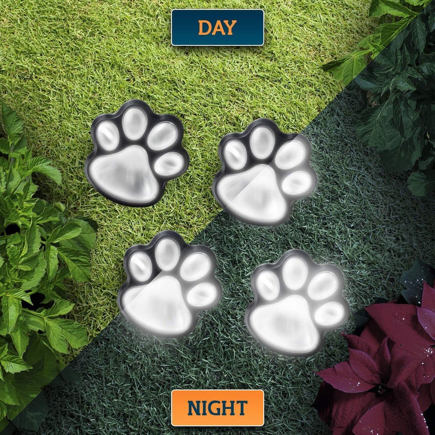 Vibrant Outdoor Solar Garden Lights