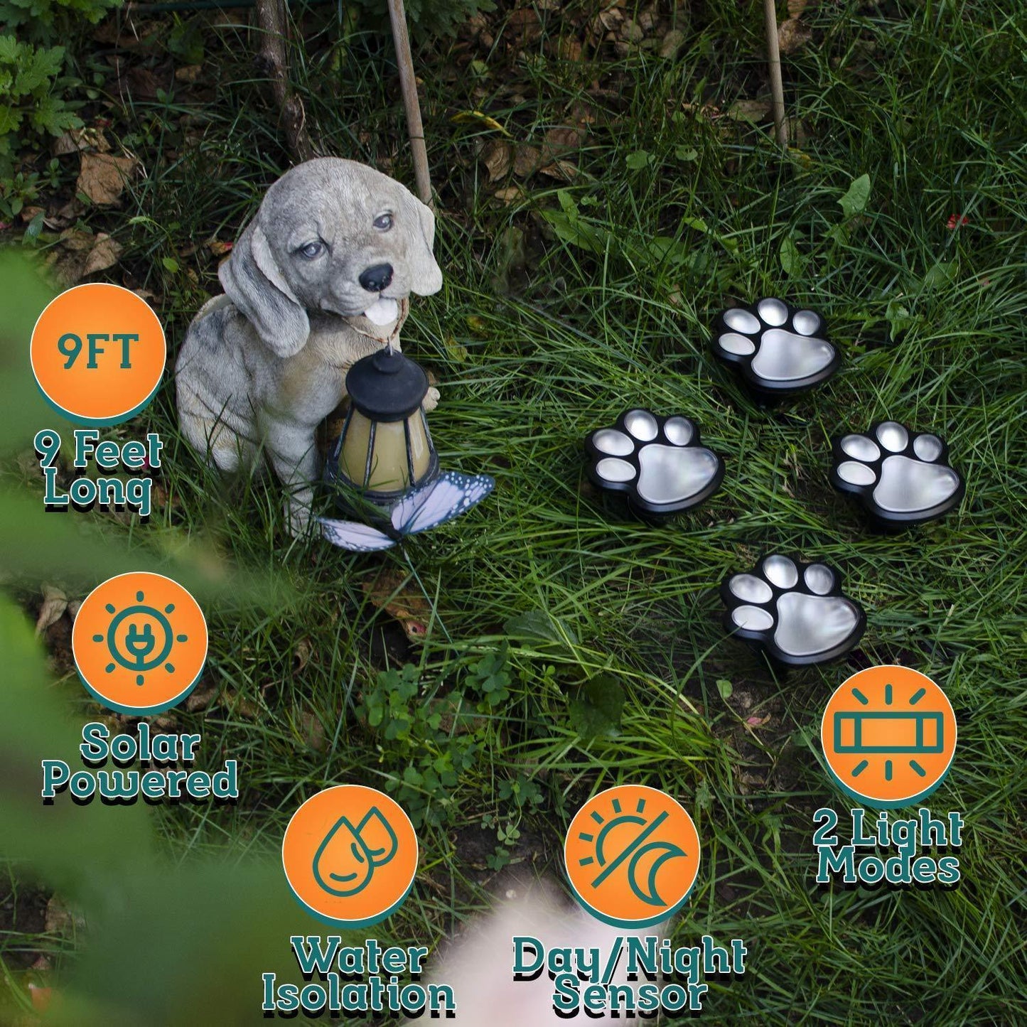 Vibrant Outdoor Solar Garden Lights