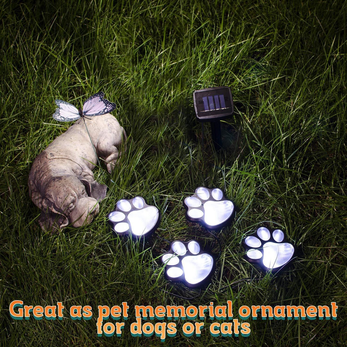 Vibrant Outdoor Solar Garden Lights