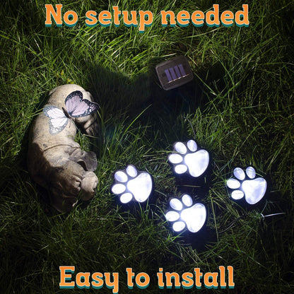 Vibrant Outdoor Solar Garden Lights