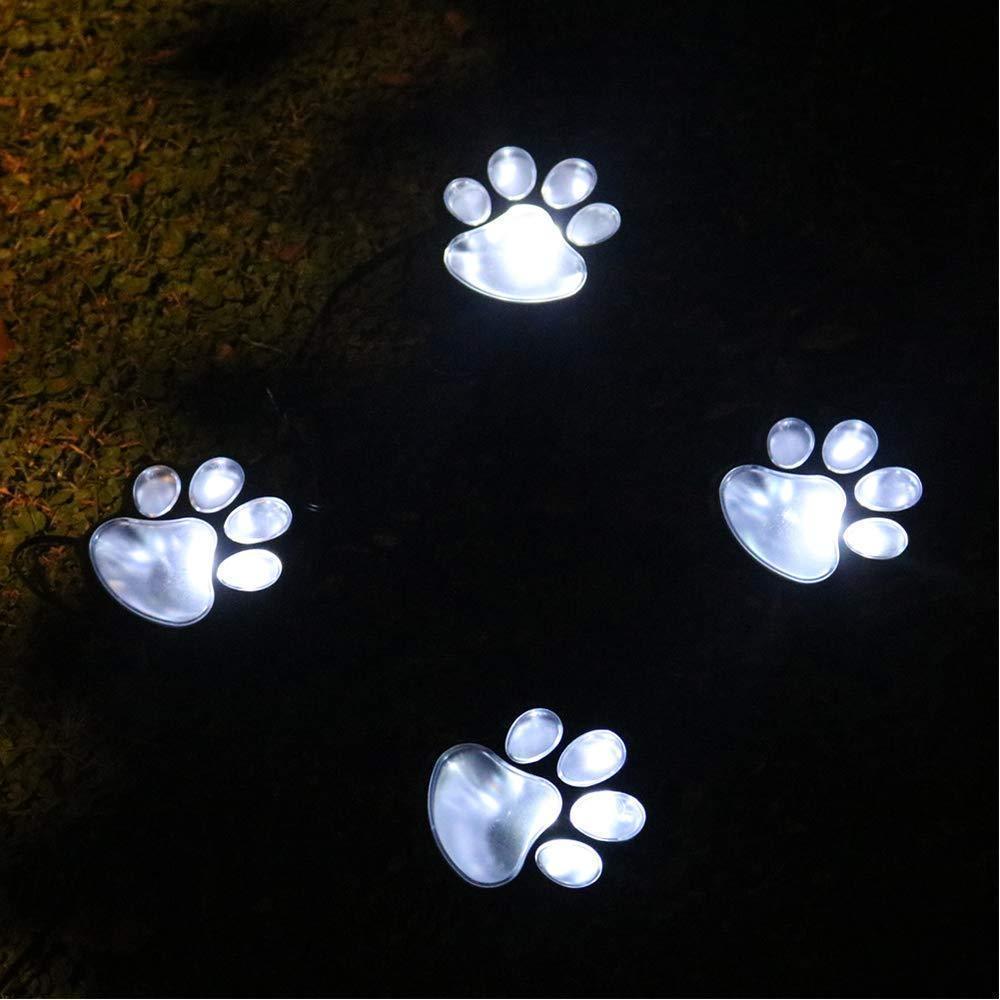 Vibrant Outdoor Solar Garden Lights
